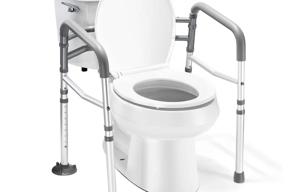 Toilet Safety Rails